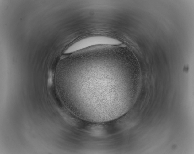 X0000091960075200709201353