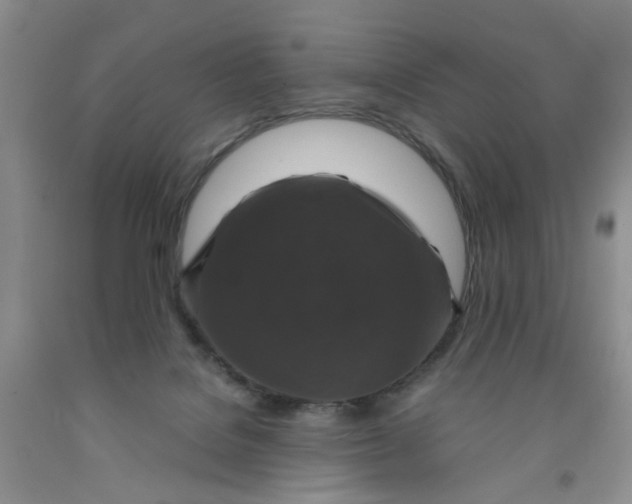 X0000091960076200709201353