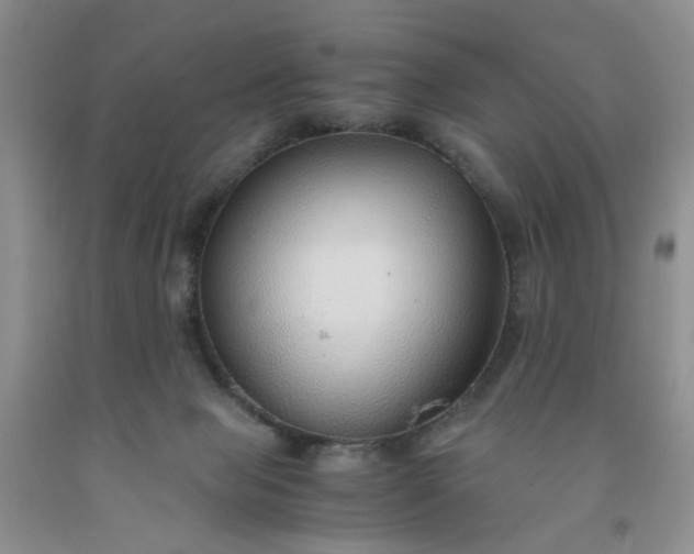 X0000091960077200709201353