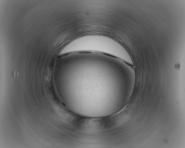 X0000091960078200709201353