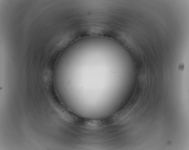 X0000091960079200709201353