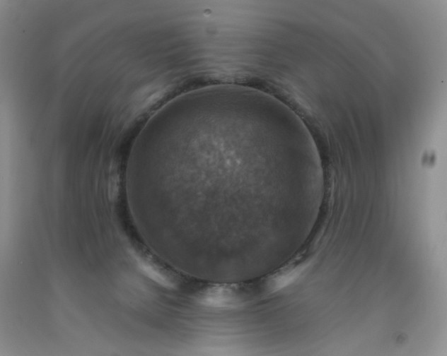 X0000091960080200709201353