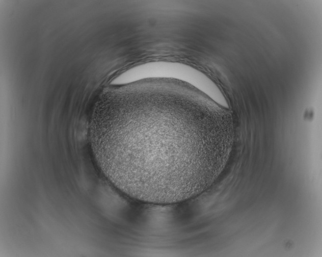 X0000091960081200709201353