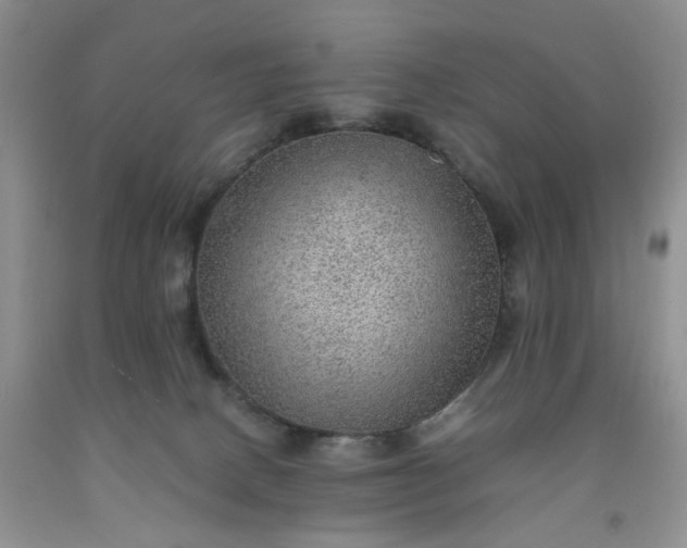 X0000091960082200709201353