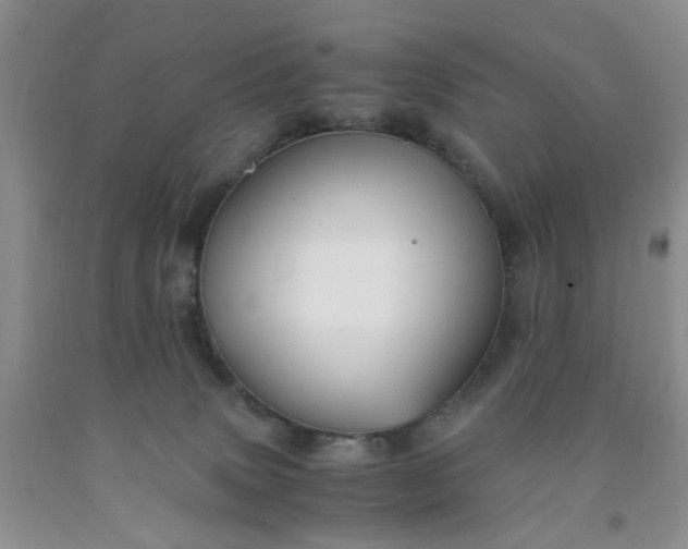 X0000091960083200709201353