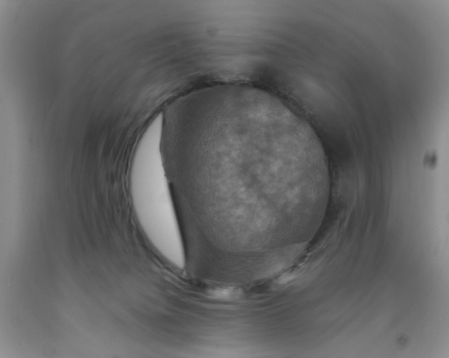 X0000091960084200709201353