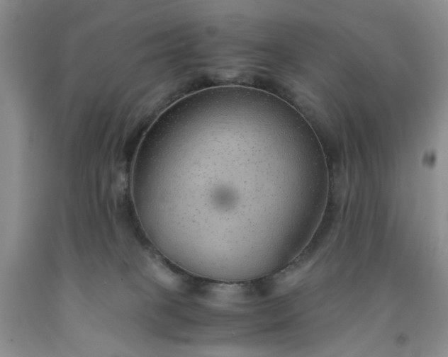 X0000091960085200709201353