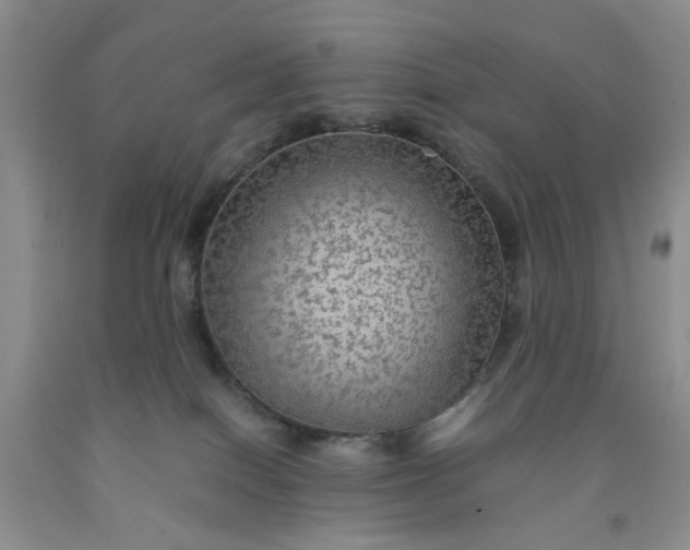 X0000091960086200709201353