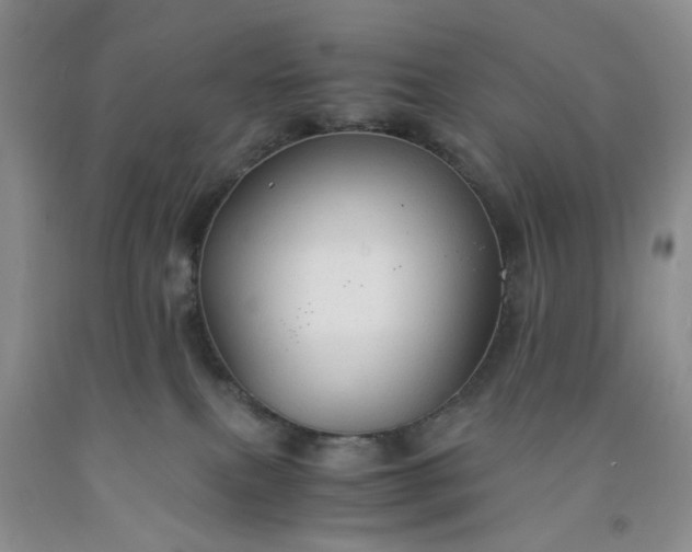 X0000091960087200709201353