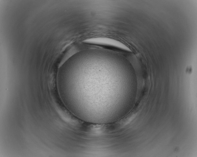 X0000091960088200709201353