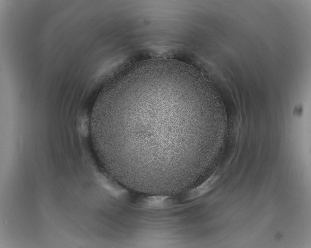 X0000091960090200709201353