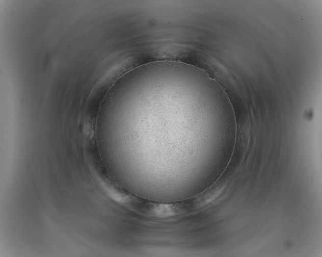 X0000091960091200709201353