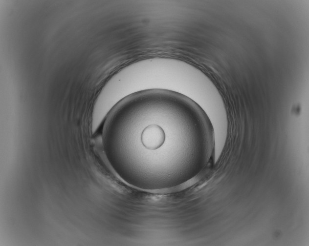 X0000091960092200709201353