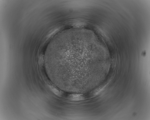 X0000091960093200709201353