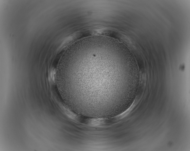 X0000091960094200709201353