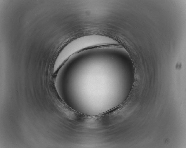 X0000091960096200709201353