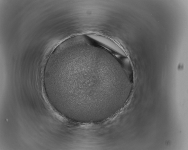 X0000091960097200709201352