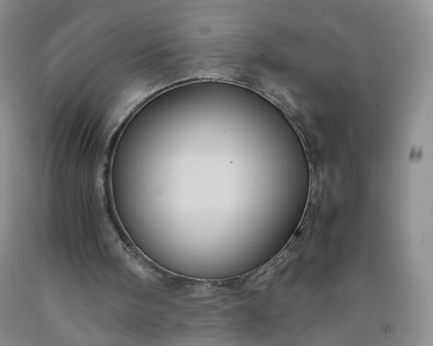 X0000091960098200709201352