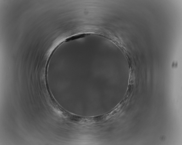 X0000091960099200709201352