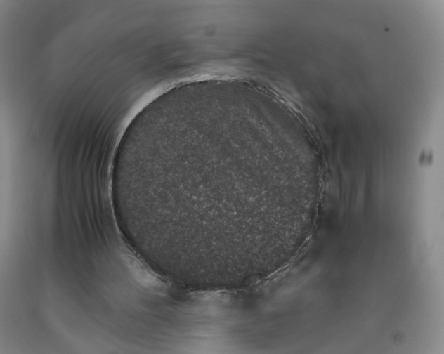 X0000091960100200709201352