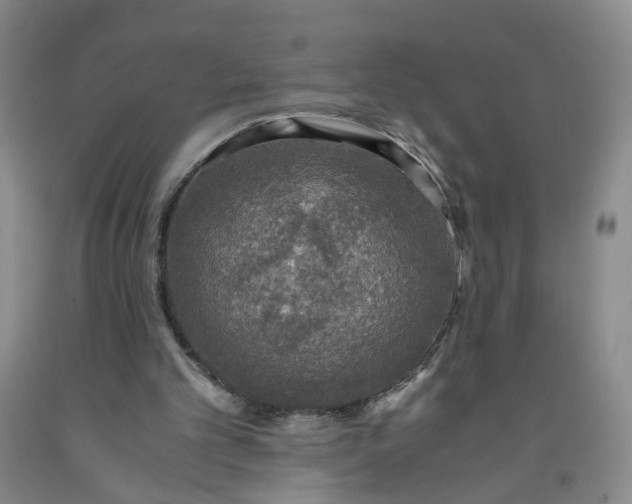 X0000091960101200709201352