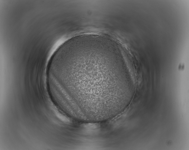 X0000091960102200709201352