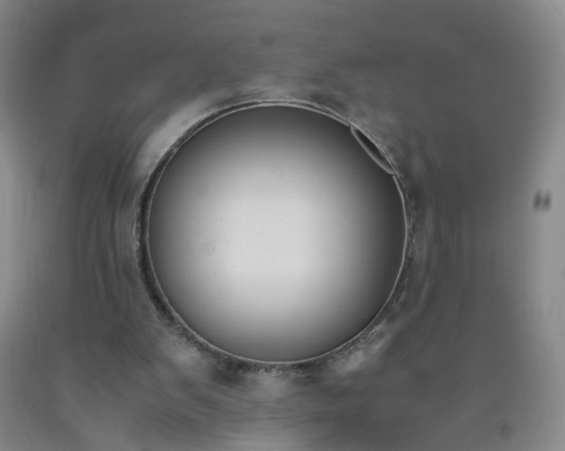 X0000091960103200709201352