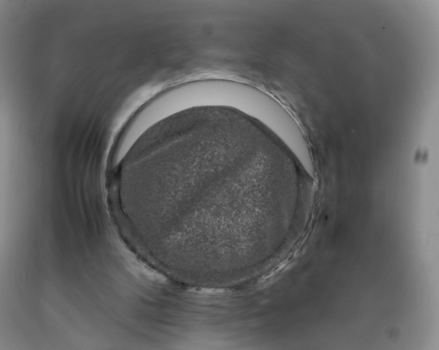 X0000091960104200709201352