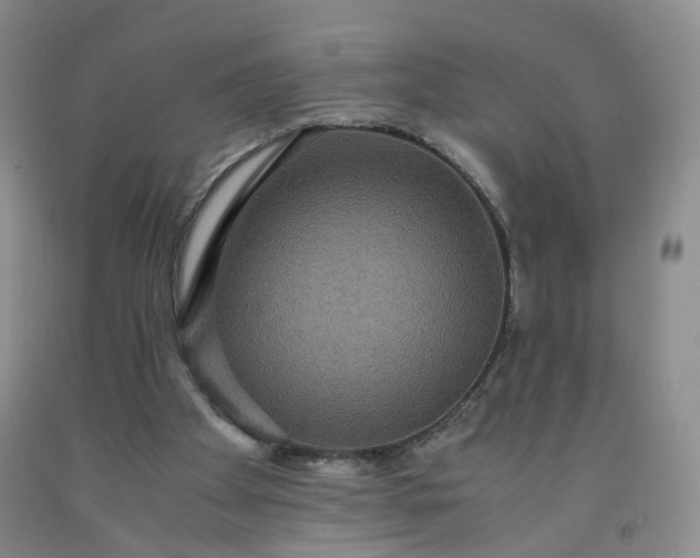 X0000091960105200709201352