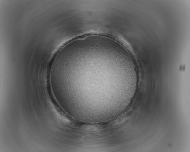 X0000091960106200709201352