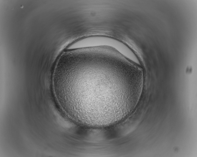 X0000091960107200709201352