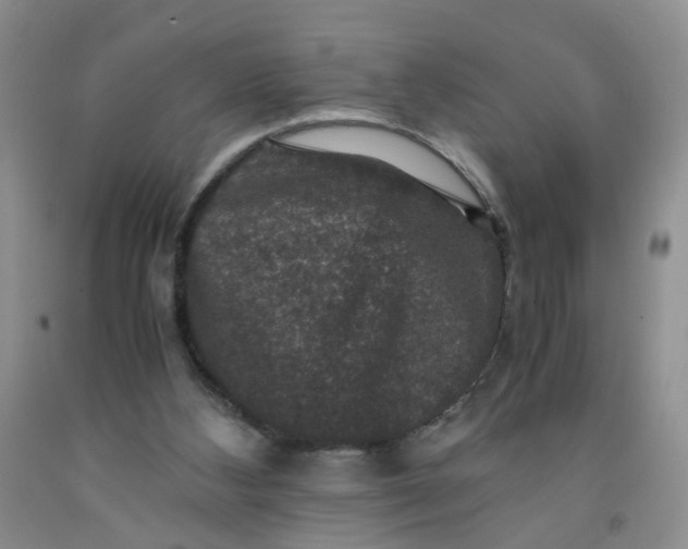 X0000091960108200709201352