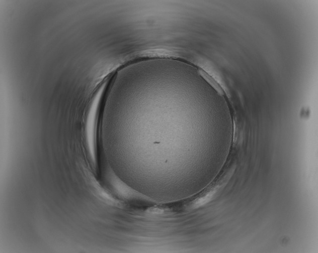 X0000091960109200709201352