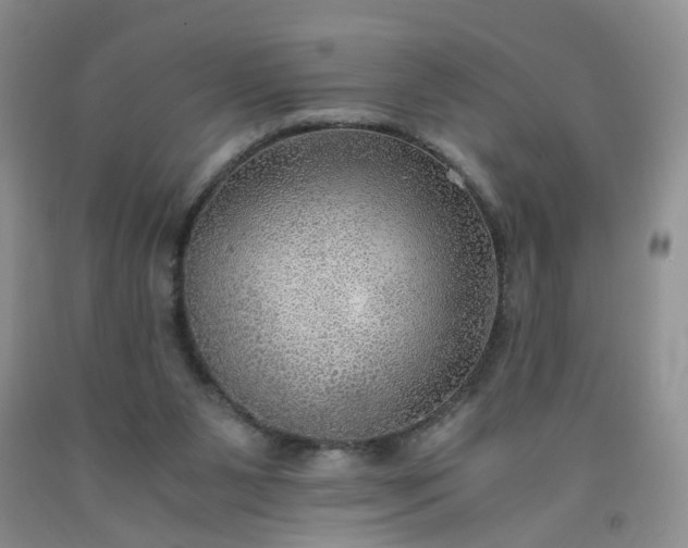 X0000091960111200709201352