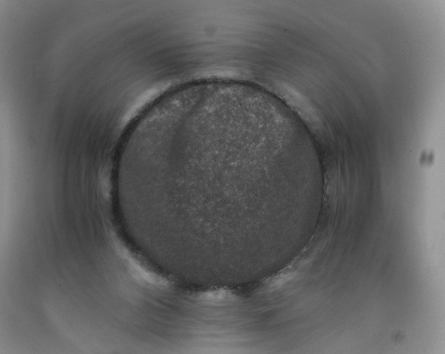 X0000091960112200709201352