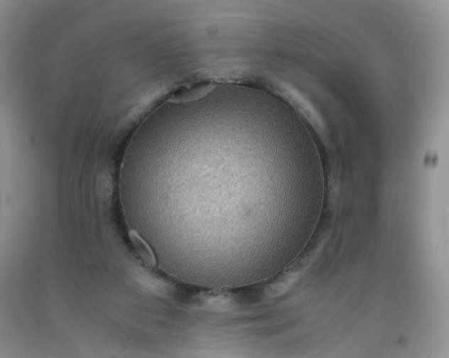 X0000091960113200709201352