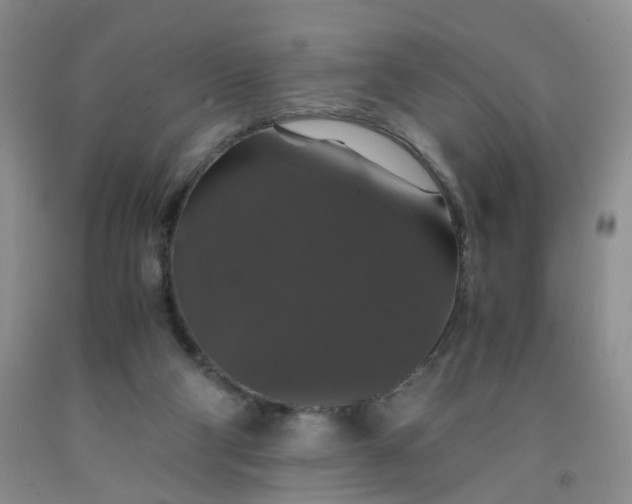 X0000091960114200709201352