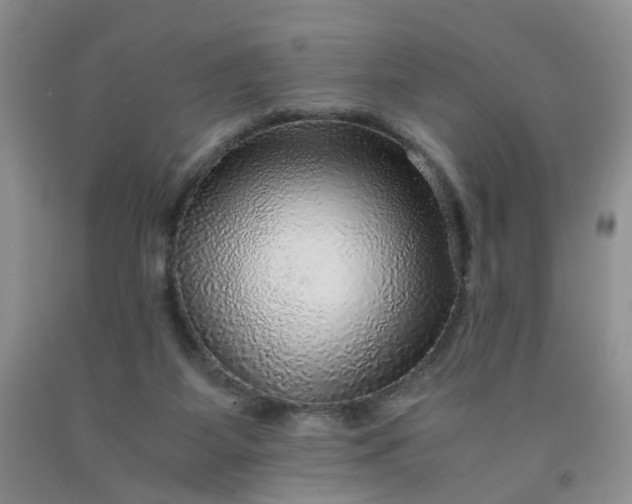 X0000091960115200709201352