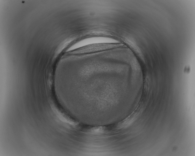 X0000091960116200709201352