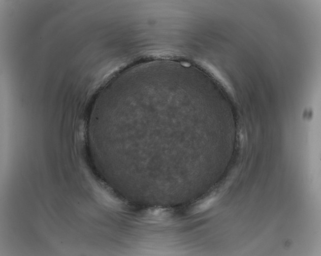 X0000091960117200709201352