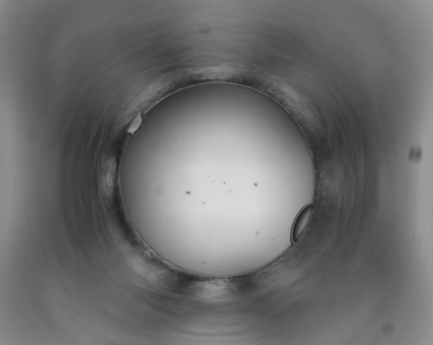 X0000091960118200709201352