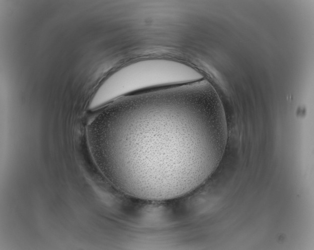 X0000091960119200709201352