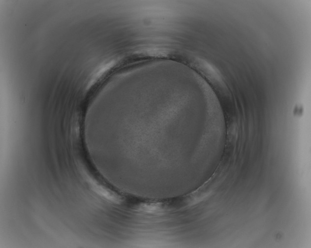 X0000091960120200709201352