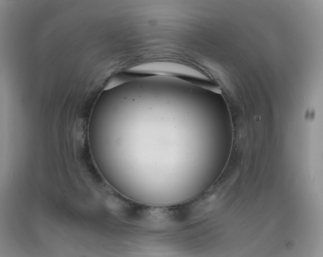 X0000091960121200709201352