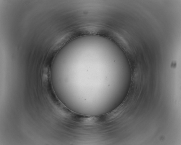 X0000091960122200709201352