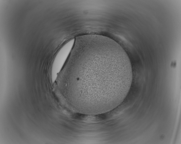 X0000091960123200709201352