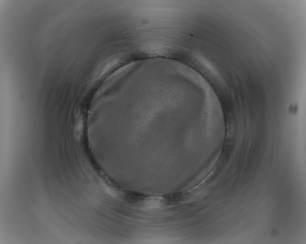 X0000091960124200709201352