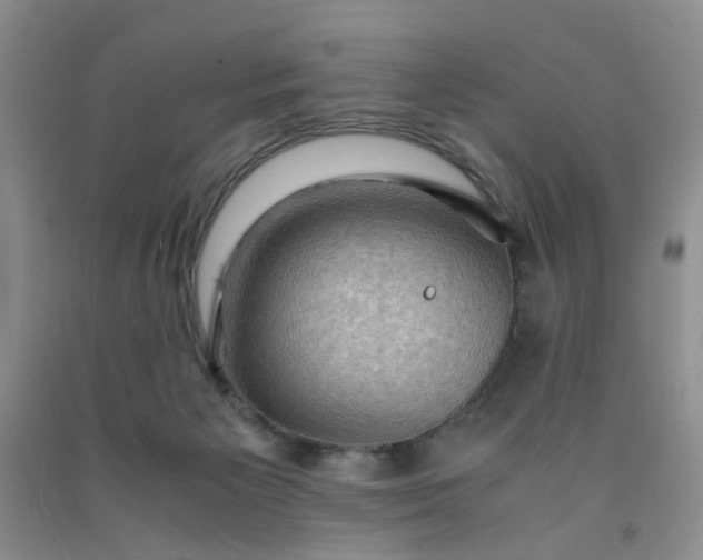 X0000091960125200709201352