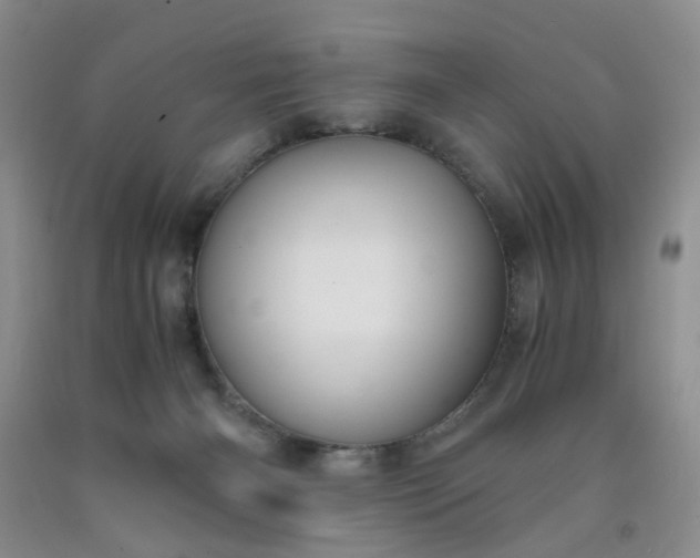 X0000091960126200709201352