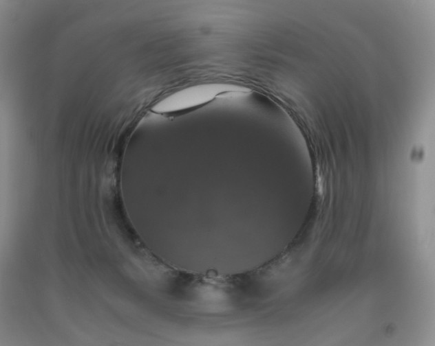 X0000091960127200709201352